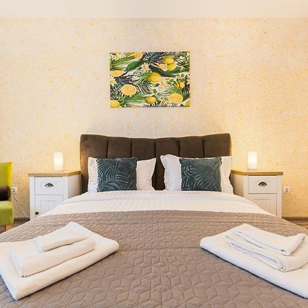 Apartament Topaz ブラショフ エクステリア 写真